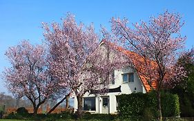 B&B Sagenland